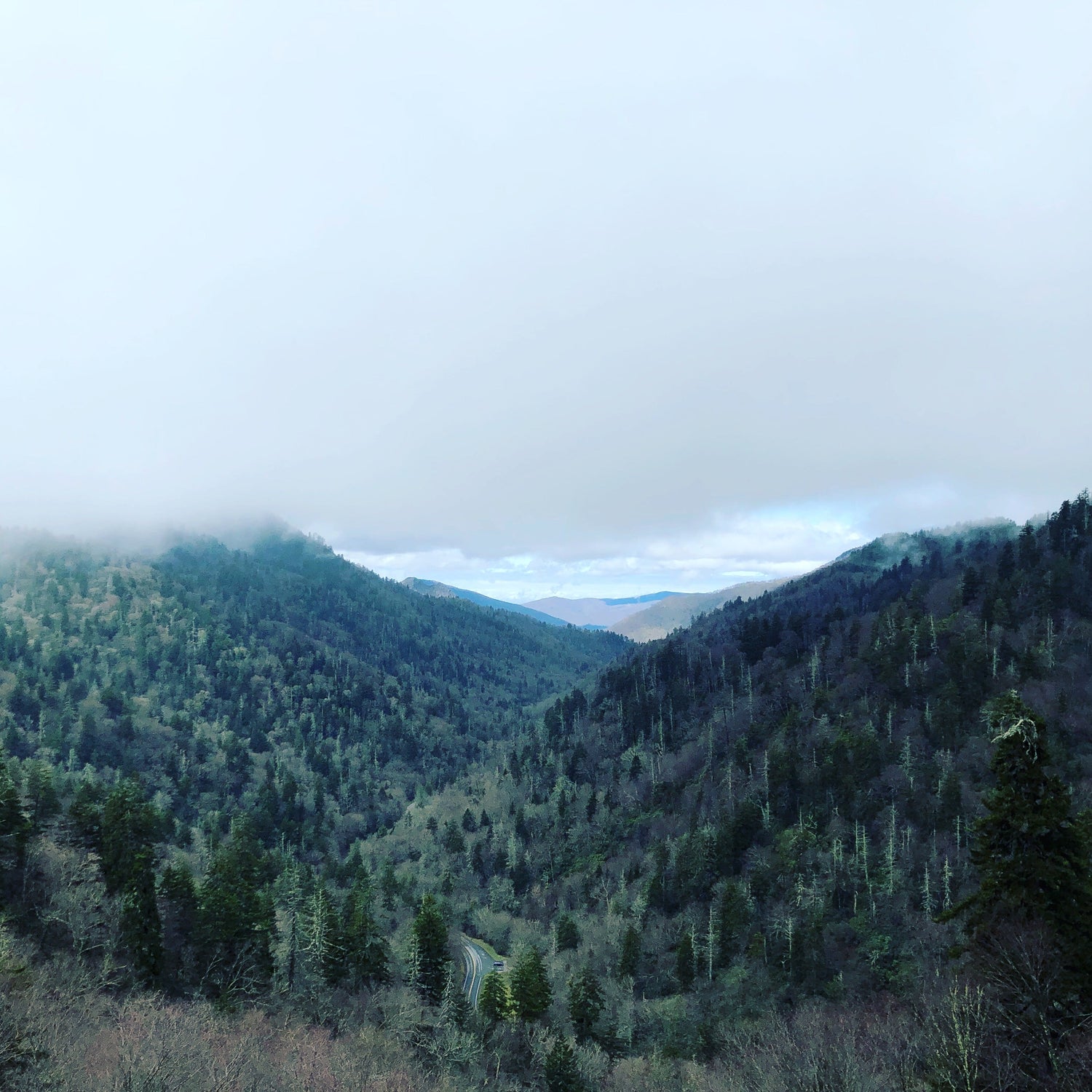 Exploring Smoky Mountain National Park with Kids