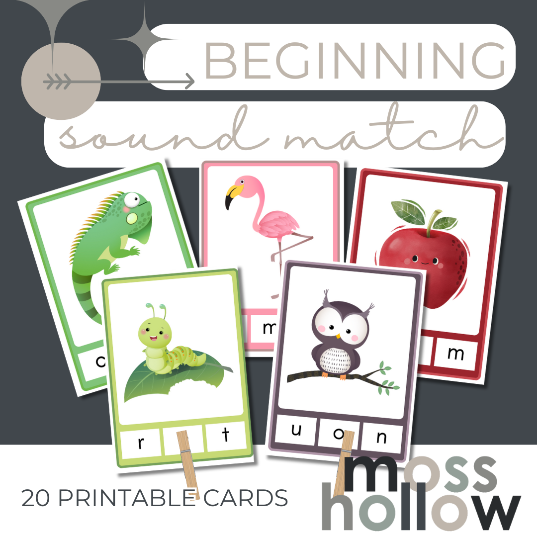 Basic Beginning Sound Match