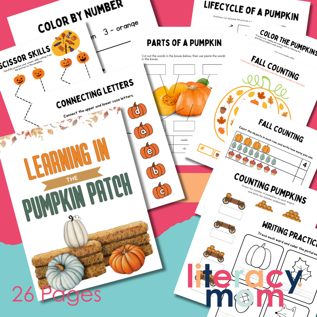 Pumpkin Patch Workbook