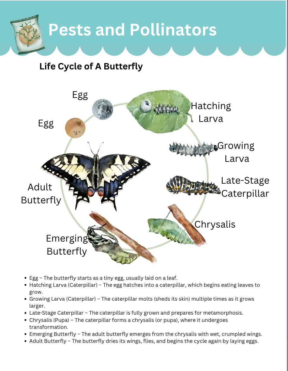 Kiss Your Garden – Journalschooling Study Unit