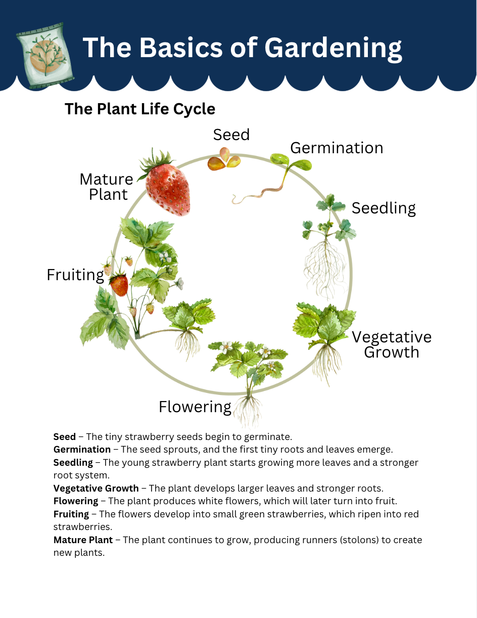 Kiss Your Garden – Journalschooling Study Unit