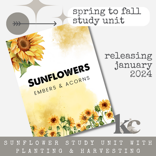 Sunflower Study Unit - Spring Planting to Fall Harvest
