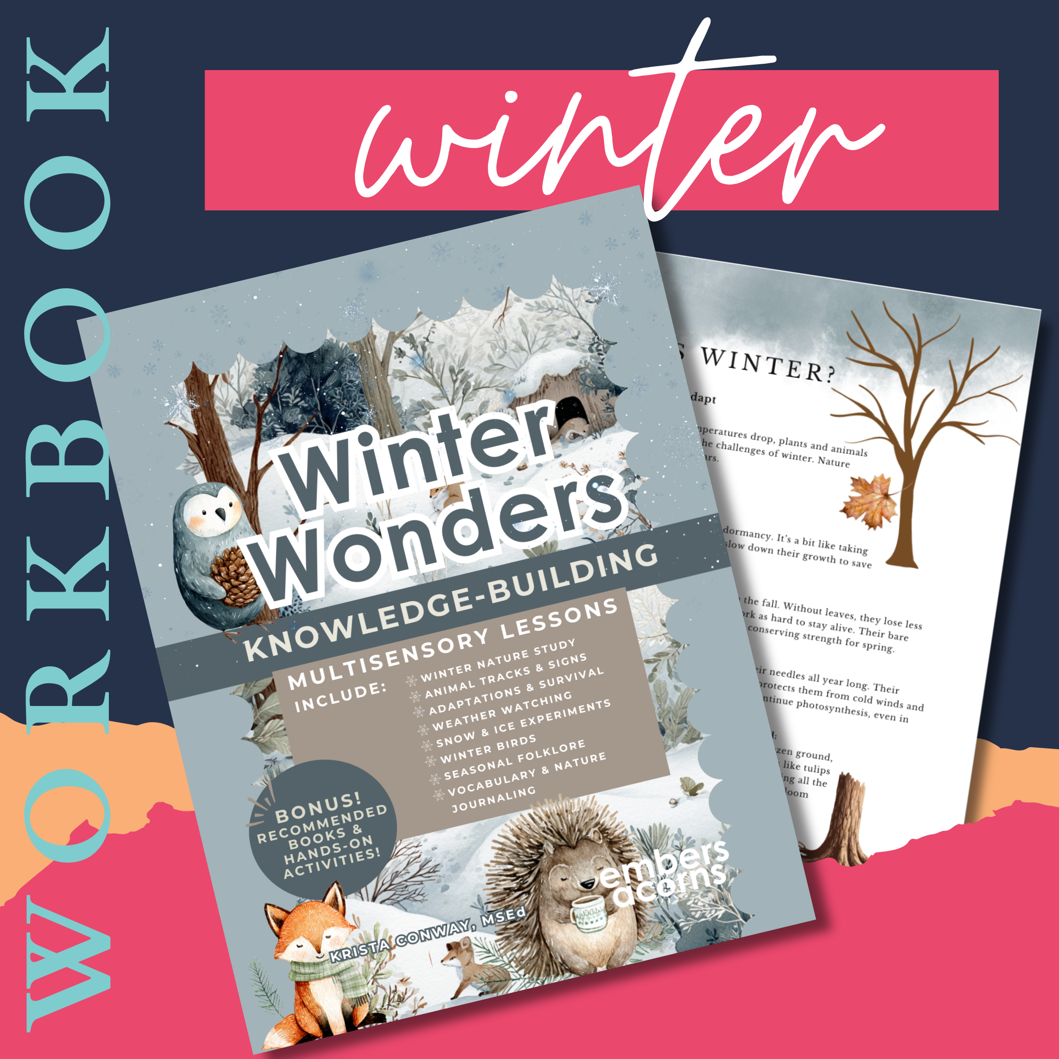 Winter Wonders