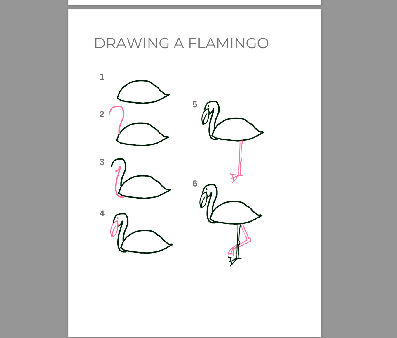 All About Flamingos Study Unit